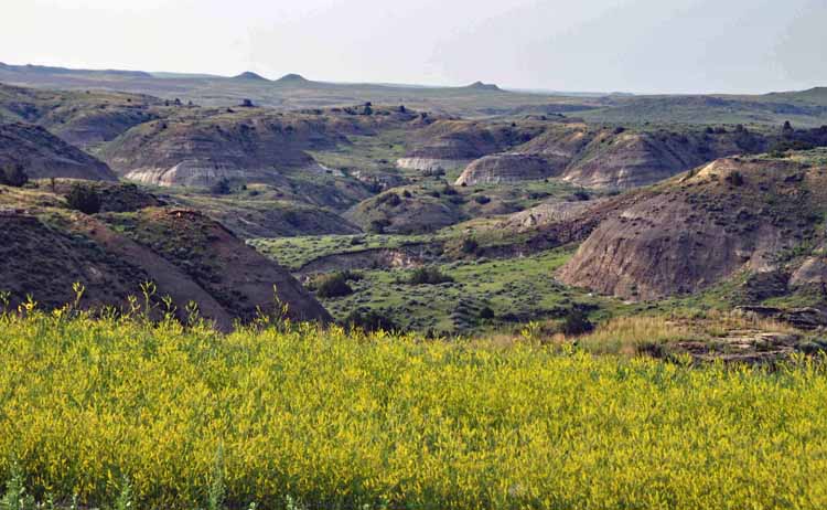 badlands